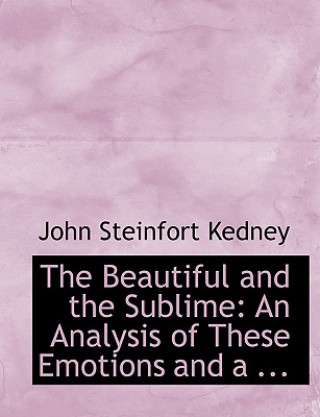 Livre Beautiful and the Sublime John Steinfort Kedney