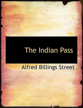 Kniha Indian Pass Alfred Billings Street