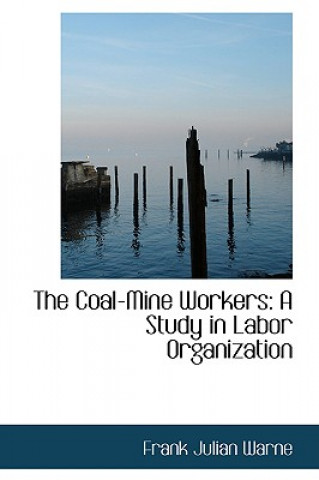 Kniha Coal-Mine Workers Frank Julian Warne