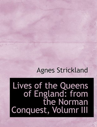 Książka Lives of the Queens of England Agnes Strickland