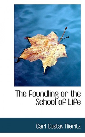 Buch Foundling or the School of Life Carl Gustav Nieritz