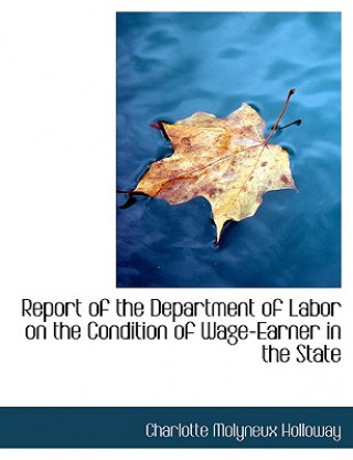 Kniha Report of the Department of Labor on the Condition of Wage-Earner in the State Charlotte Molyneux Holloway