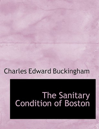 Book Sanitary Condition of Boston Charles Edward Buckingham