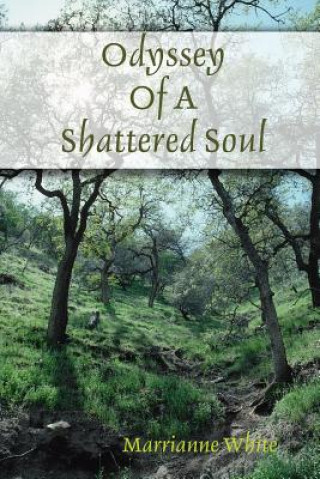 Kniha Odyssey Of A Shattered Soul All Content Marrianne White