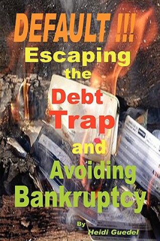 Buch DEFAULT !!! Escaping the Debt Trap and Avoiding Bankruptcy Heidi Guedel