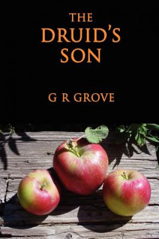 Kniha Druid's Son G R Grove