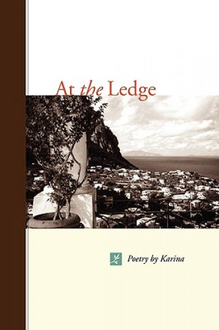 Buch At the Ledge Karen Safer