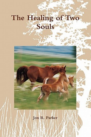 Buch Healing of Two Souls Jon R. Parker