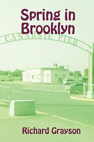 Book Spring in Brooklyn Richard Grayson