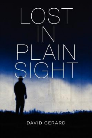 Libro Lost in Plain Sight David Gerard