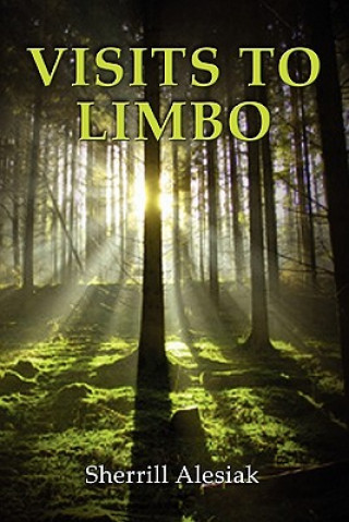 Knjiga Visits to Limbo Sherrill Alesiak