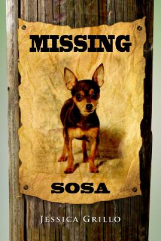 Knjiga Missing Sosa Jessica Grillo