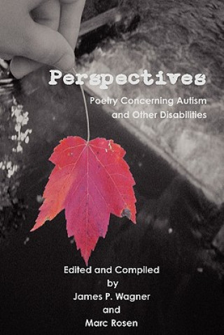 Knjiga Perspectives Marc Rosen