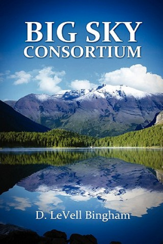 Livre Big Sky Consortium D Levell Bingham