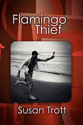 Könyv Flamingo Thief Susan Trott