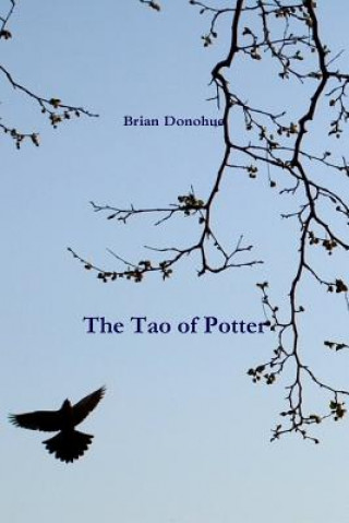 Βιβλίο Tao of Potter Brian Donohue