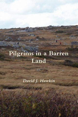 Carte Pilgrims in a Barren Land David J Hawkin