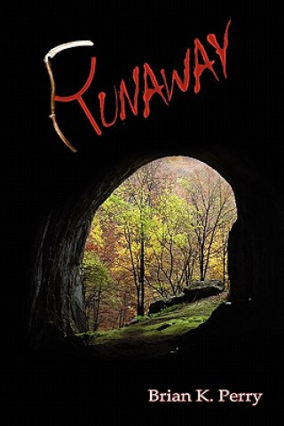 Buch Runaway Brian K Perry