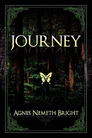 Книга Journey Agnes Nemeth Bright