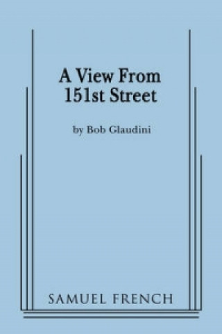 Kniha View From 151st Street Robert Glaudini