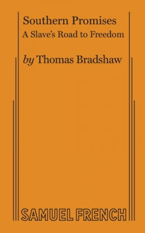 Książka Southern Promises Thomas Bradshaw