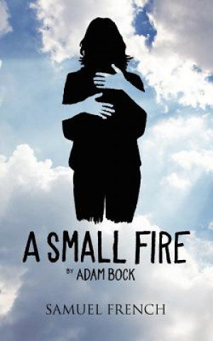 Knjiga Small Fire Adam Bock