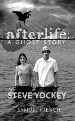 Knjiga Afterlife Steve Yockey