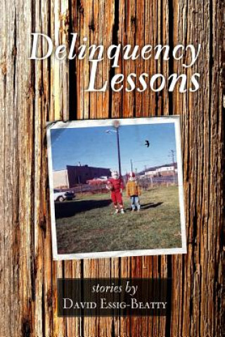 Knjiga Delinquency Lessons David R Essig-Beatty