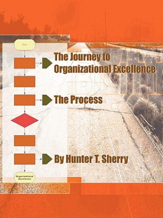 Knjiga Process Hunter Sherry