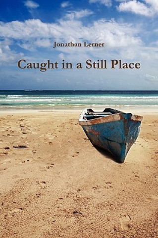 Carte Caught in a Still Place Jonathan Lerner