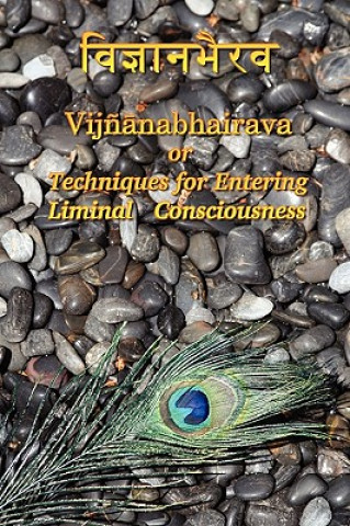 Könyv Vijnaanabhairava or Techniques for Entering Liminal Consciousness Dmitri Semenov