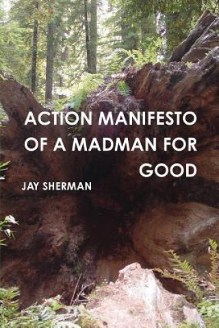 Kniha Action Manifesto of a Madman for Good Jay Sherman