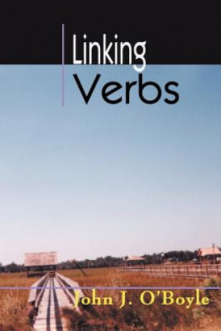 Kniha Linking Verbs John J O'Boyle