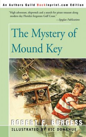 Kniha Mystery of Mound Key Robert F Burgess