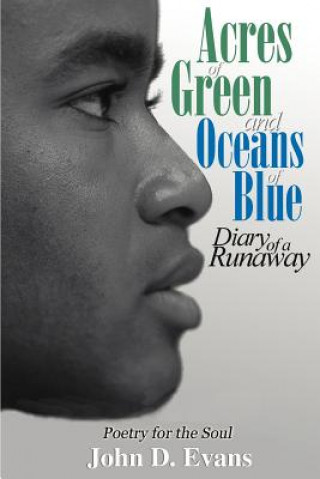 Könyv Acres of Green and Oceans of Blue: Diary of a Runaway John Dwayne Evans