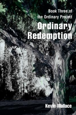 Könyv Ordinary Redemption Kevin Virgil Wallace