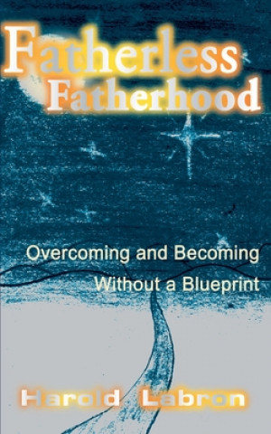 Livre Fatherless Fatherhood Harold Labron