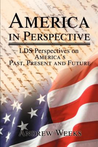 Книга America in Perspective Andrew S Weeks