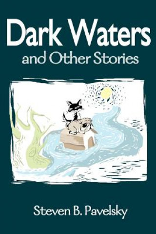 Buch Dark Waters Steven B Pavelsky