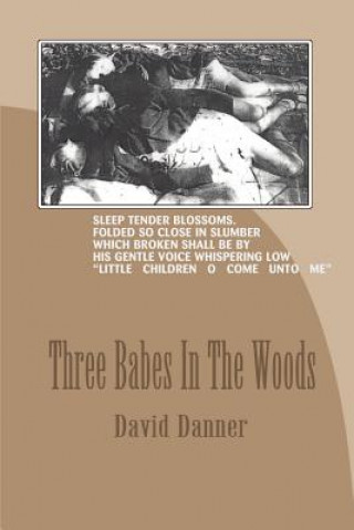 Buch Three Babes in the Woods David Danner