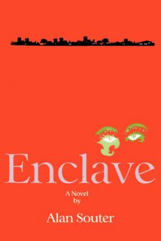 Knjiga Enclave Alan Souter