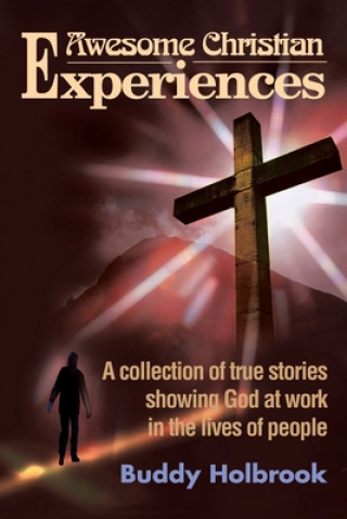 Boek Awesome Christian Experiences Buddy Holbrook