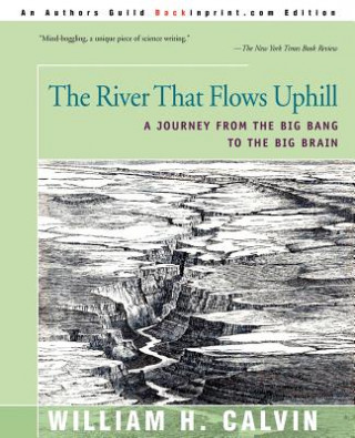 Libro River That Flows Uphill Calvin