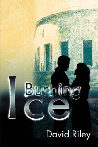 Könyv Burning Ice David Riley