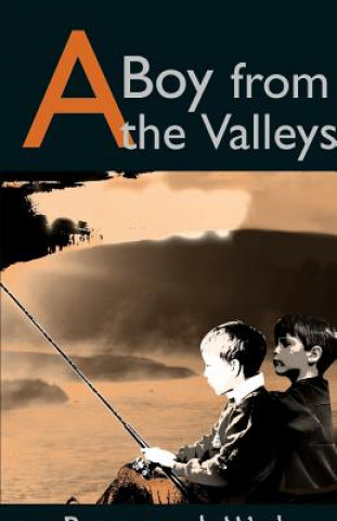 Kniha Boy from the Valleys Raymond G Hicks