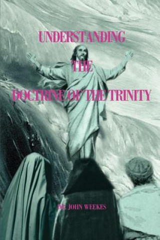 Libro Understanding the Doctrine of the Trinity John Weekes