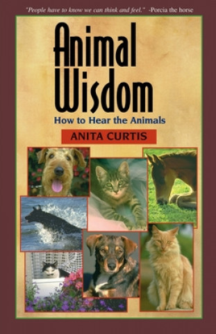 Kniha Animal Wisdom Anita Curtis