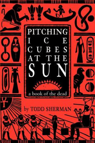 Buch Pitching Ice Cubes at the Sun Todd Sherman