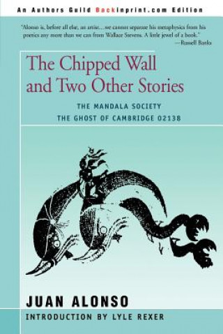 Buch Chipped Wall Juan Alonso