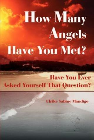 Kniha How Many Angels Have You Met? Ulrike Sabine Mandigo